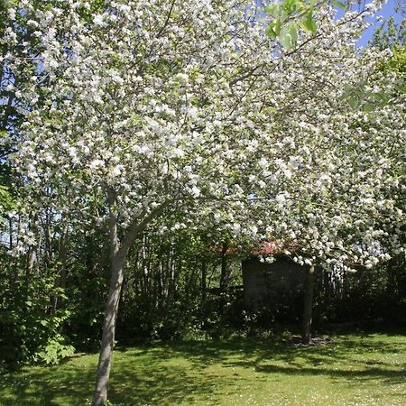 Countryside Eco Natuurhuisjes Ee 外观 照片