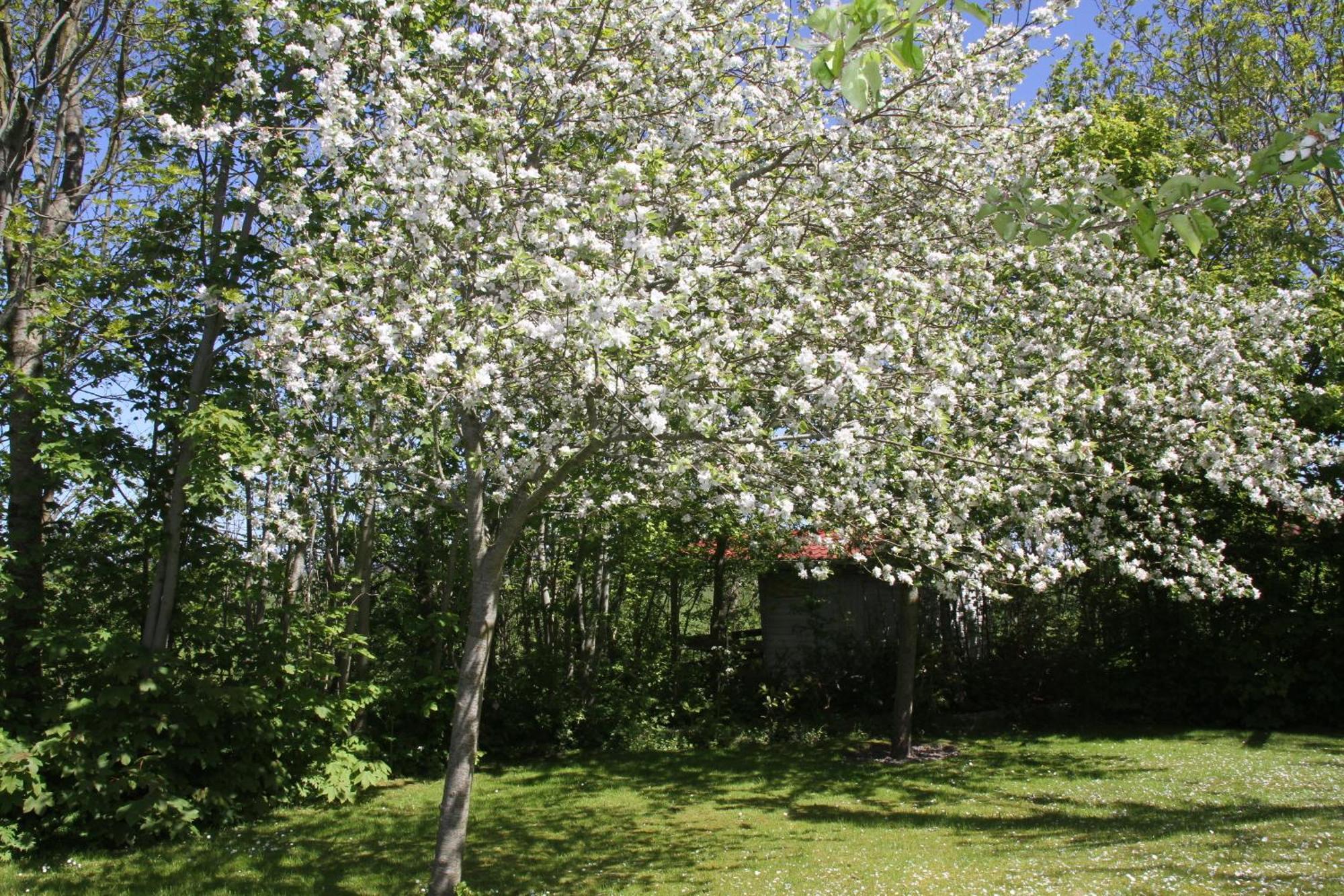 Countryside Eco Natuurhuisjes Ee 外观 照片