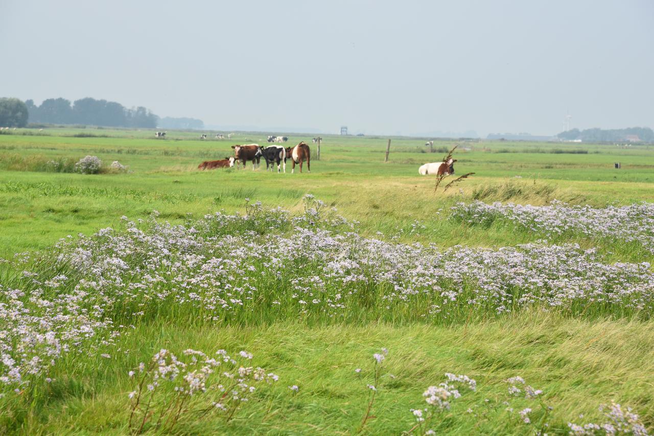 Countryside Eco Natuurhuisjes Ee 外观 照片