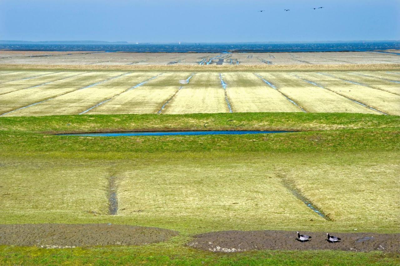 Countryside Eco Natuurhuisjes Ee 外观 照片